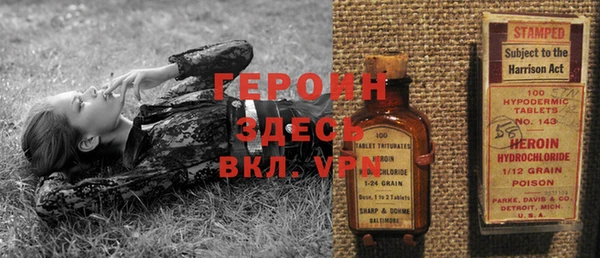 гашик Алексин