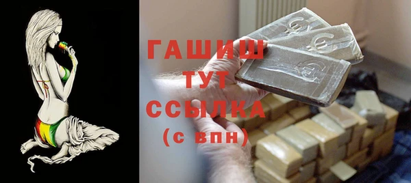 гашик Алексин