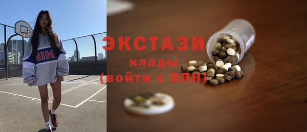 гашик Алексин