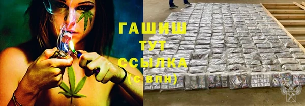 гашик Алексин
