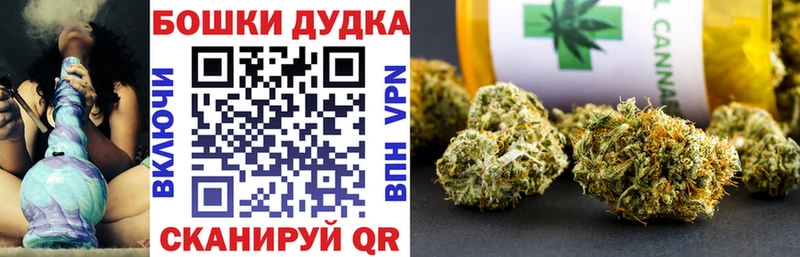 Канабис планчик сколько стоит Шумиха